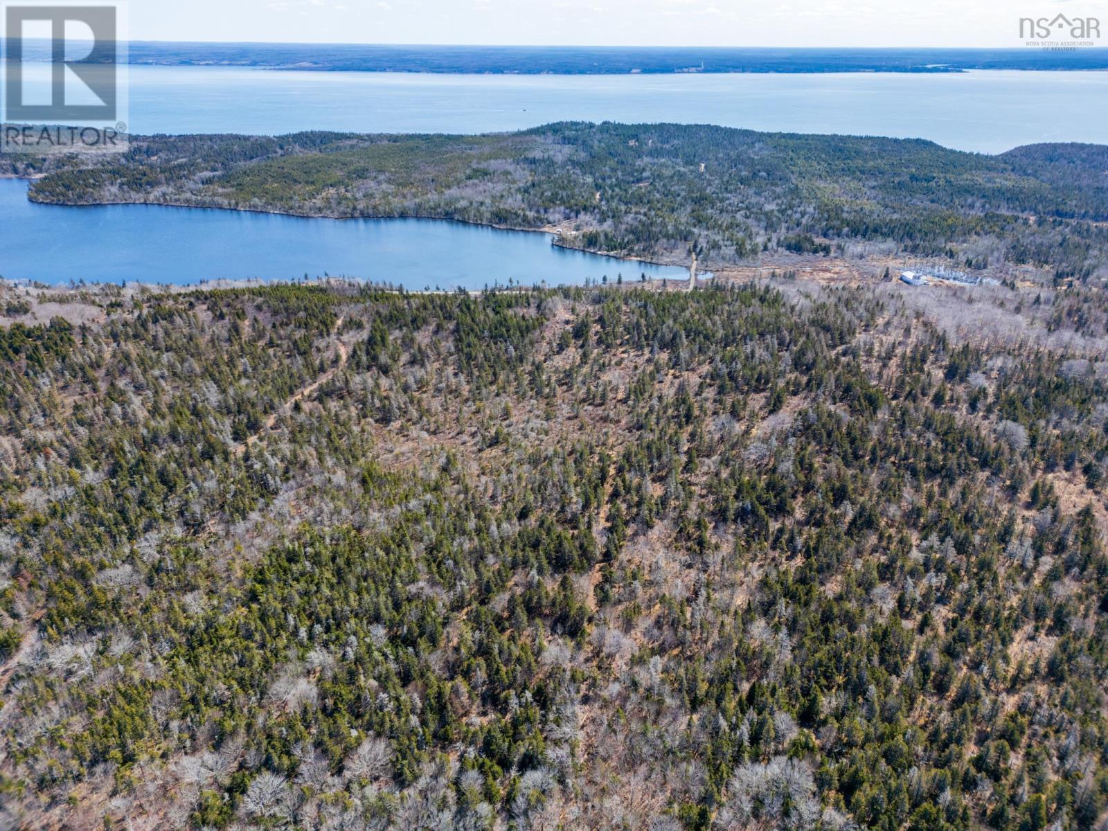 7395 Highway 217, Lake Midway, Nova Scotia  B0V 1A0 - Photo 6 - 202602631