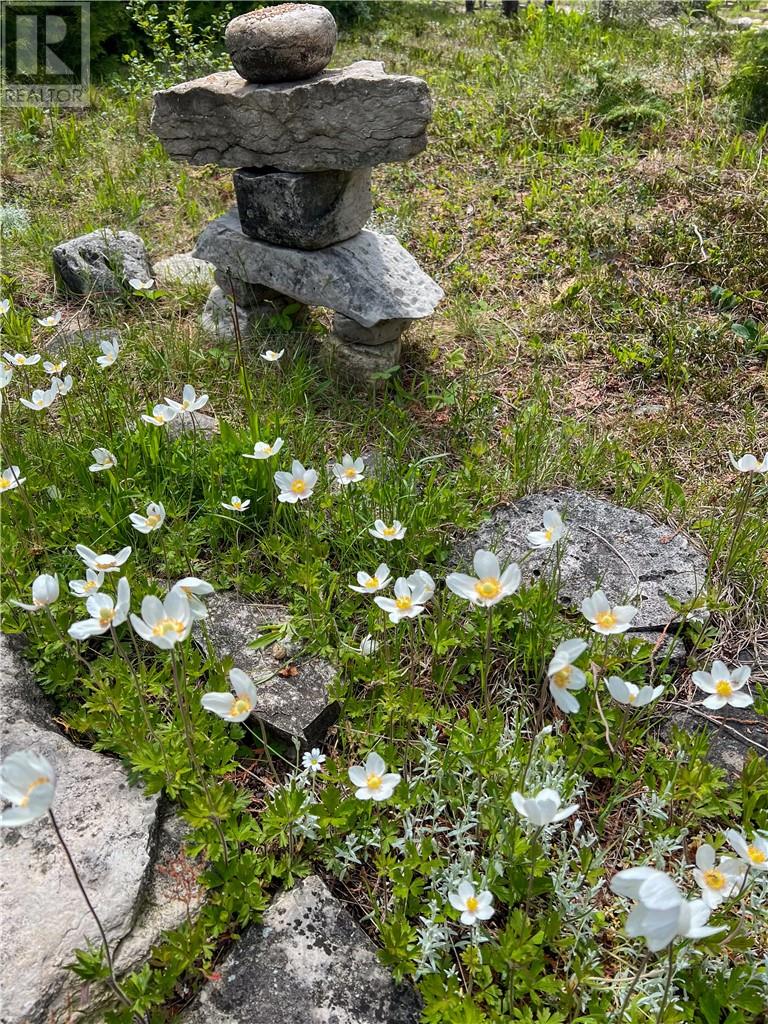 619 Lake Huron Drive, Manitoulin Island, Ontario  P0P 2B0 - Photo 55 - 2127018