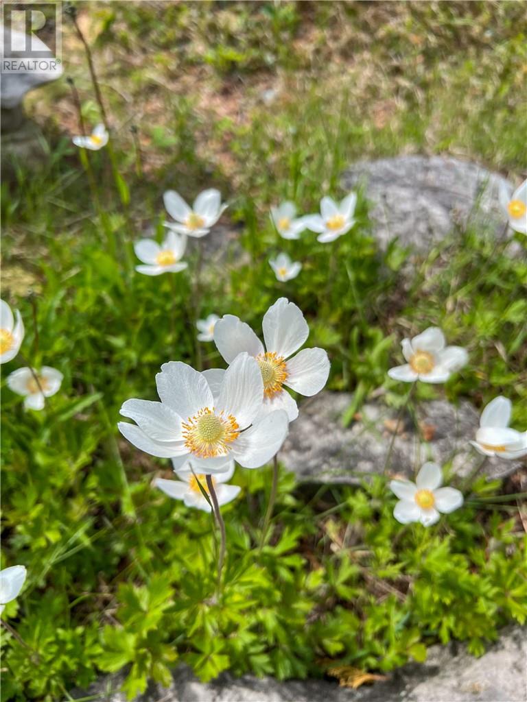 619 Lake Huron Drive, Manitoulin Island, Ontario  P0P 2B0 - Photo 56 - 2127018