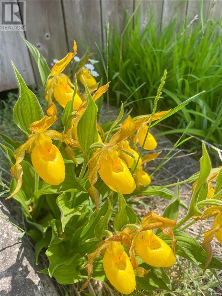 619 Lake Huron Drive, Manitoulin Island, Ontario  P0P 2B0 - Photo 57 - 2127018