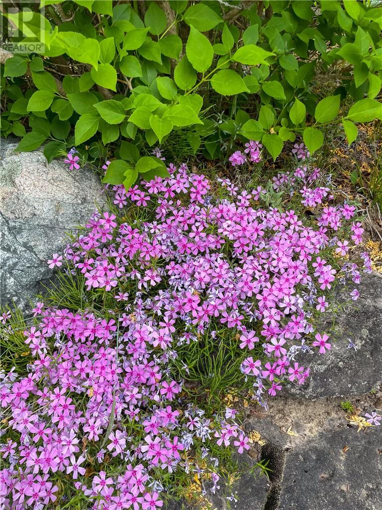 619 Lake Huron Drive, Manitoulin Island, Ontario  P0P 2B0 - Photo 58 - 2127018