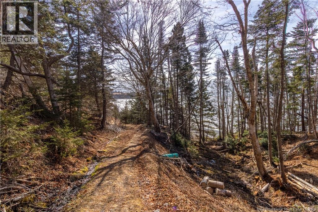 24 Loughery Lane, Black River, New Brunswick  E2S 1Z6 - Photo 19 - NB136404