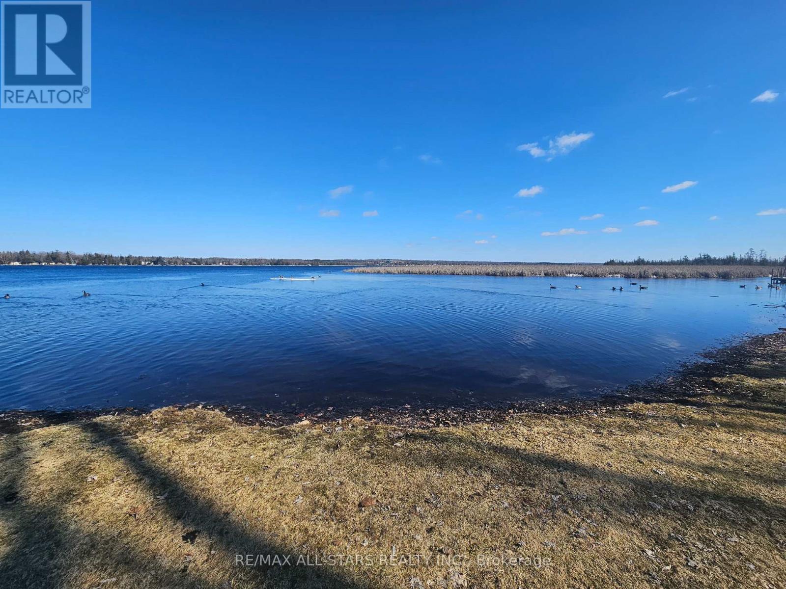 1 Beatrice Drive, Kawartha Lakes, Ontario  K0M 1N0 - Photo 3 - X12771044