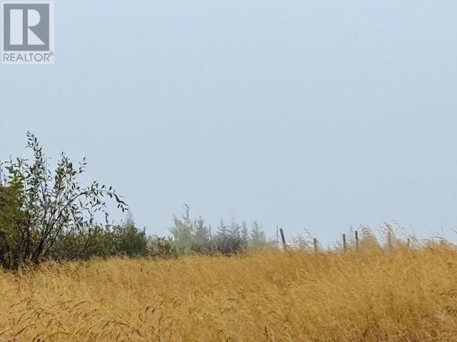 297 Main Street, New Wes Valley, Newfoundland & Labrador  A0G 4R0 - Photo 2 - 1295946