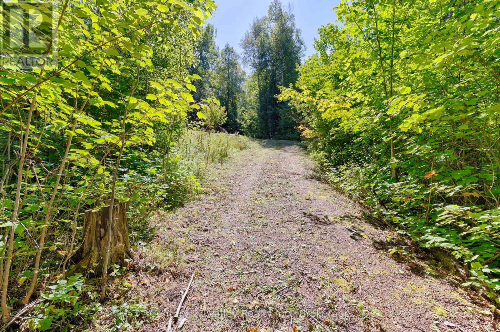 0 Hudson Trail, Bonnechere Valley, Ontario  K0J 1M0 - Photo 11 - X12969128