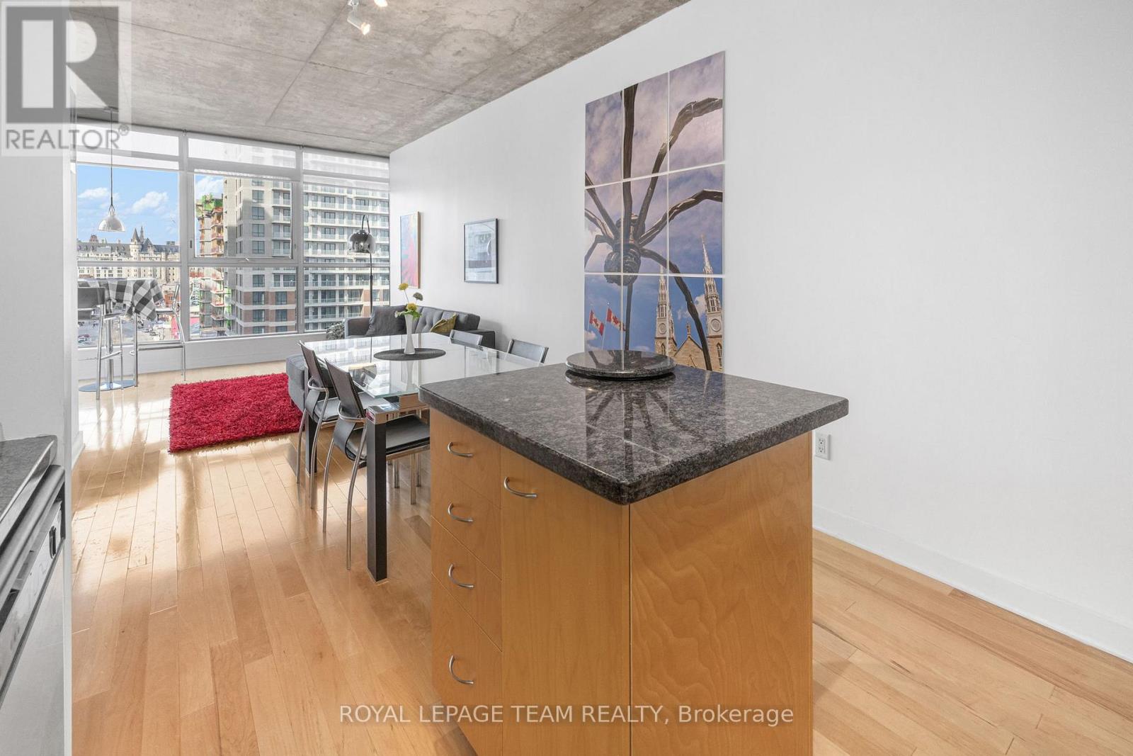 1207 - 179 George Street, Ottawa, Ontario  K1N 1J8 - Photo 10 - X12969154