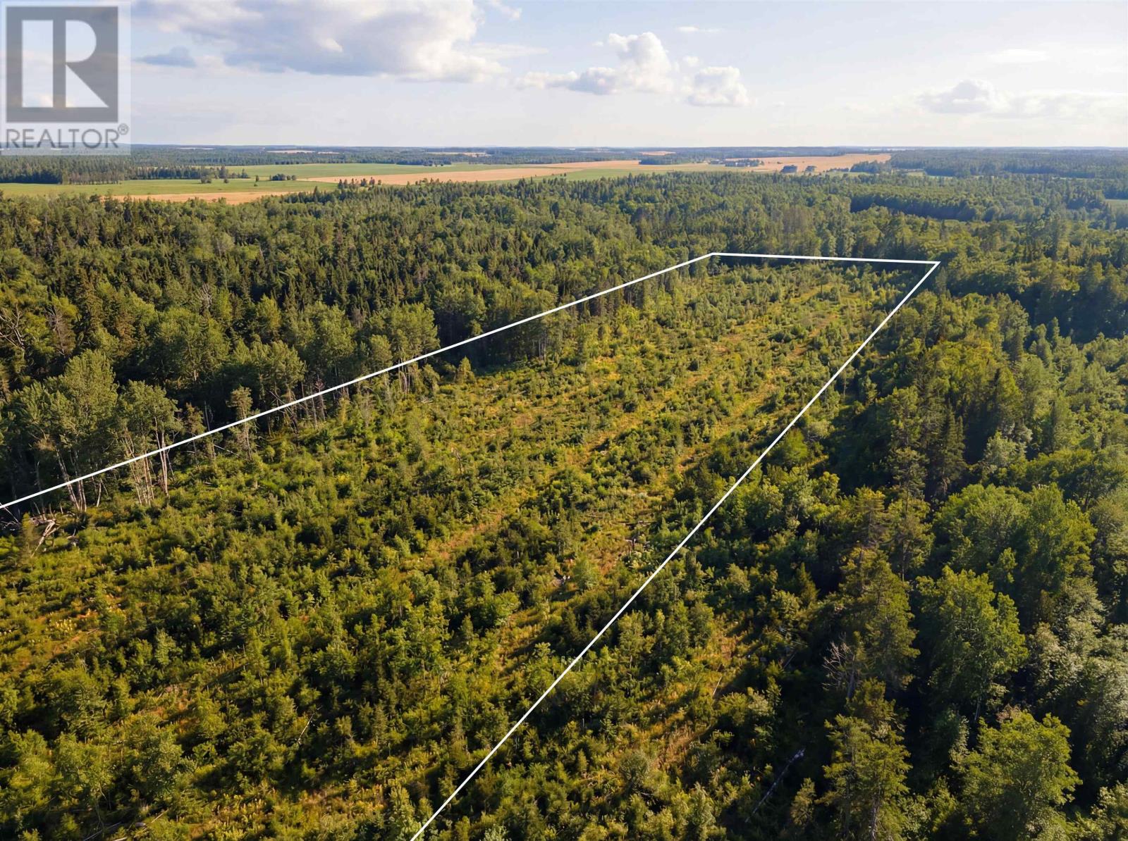 1969 Strathcona Road, Route 312, Forest Hill, Prince Edward Island  C0A 2A0 - Photo 11 - 202606596