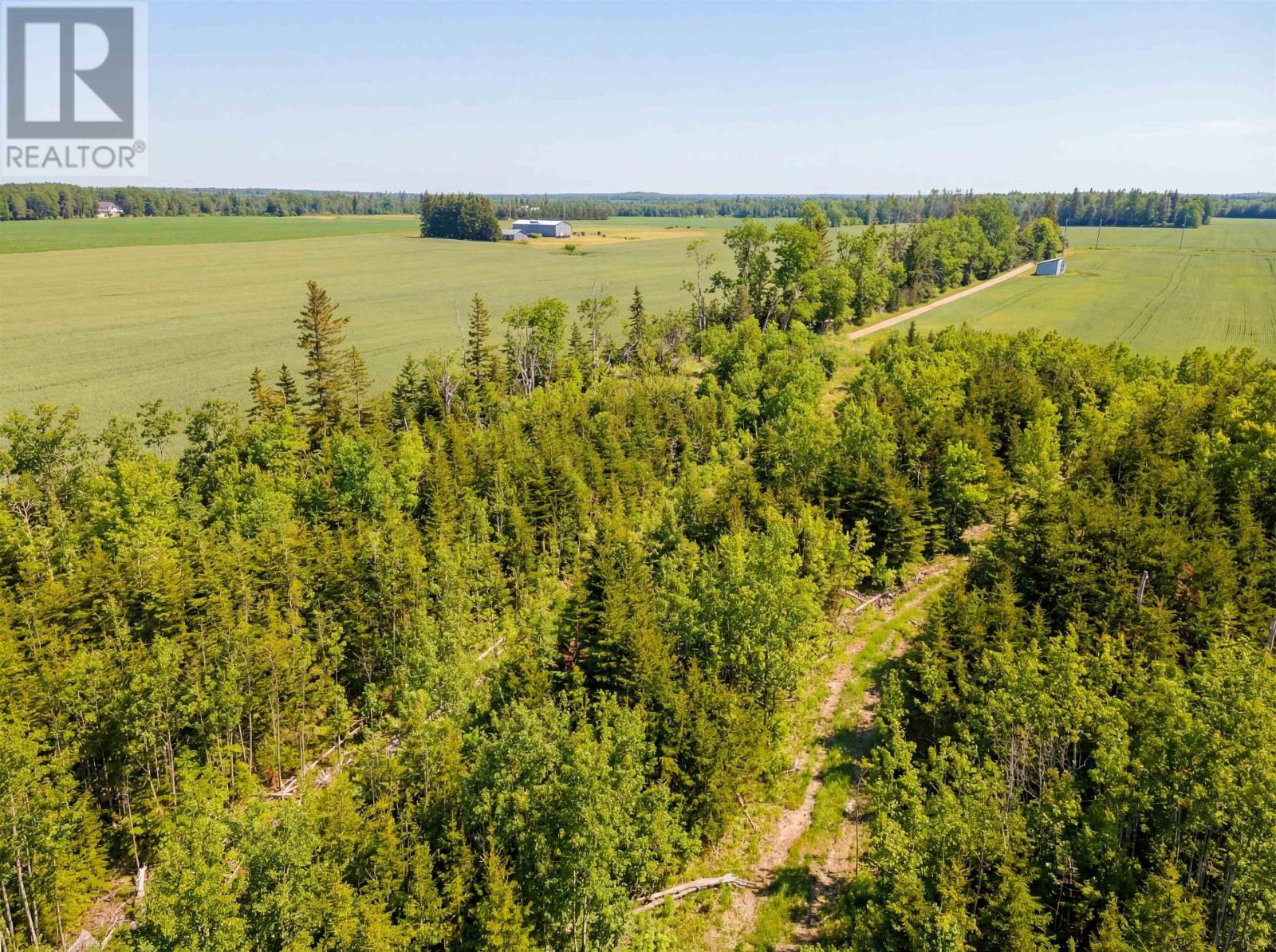 1969 Strathcona Road, Route 312, Forest Hill, Prince Edward Island  C0A 2A0 - Photo 6 - 202606596