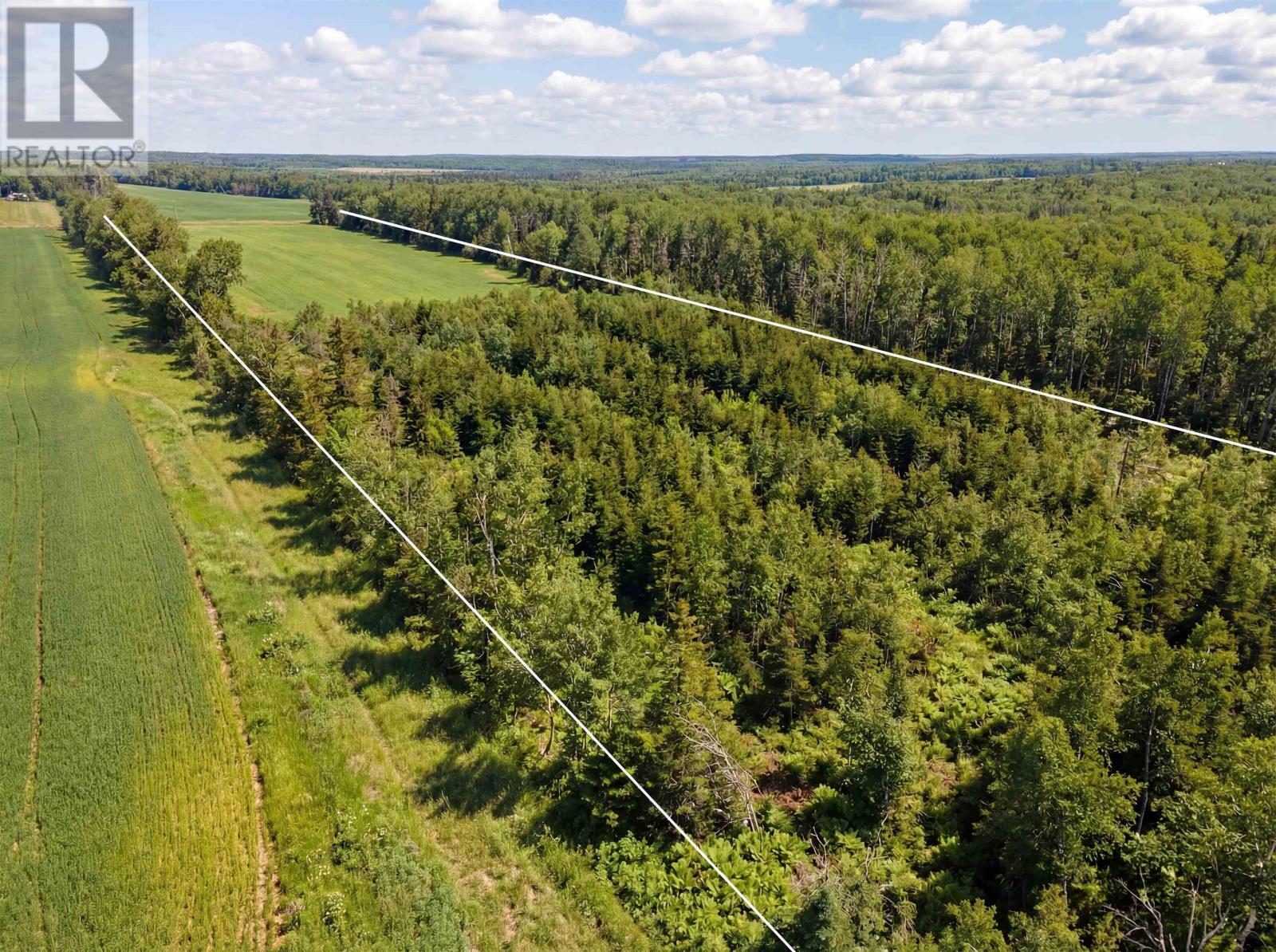 1969 Strathcona Road, Route 312, Forest Hill, Prince Edward Island  C0A 2A0 - Photo 7 - 202606596