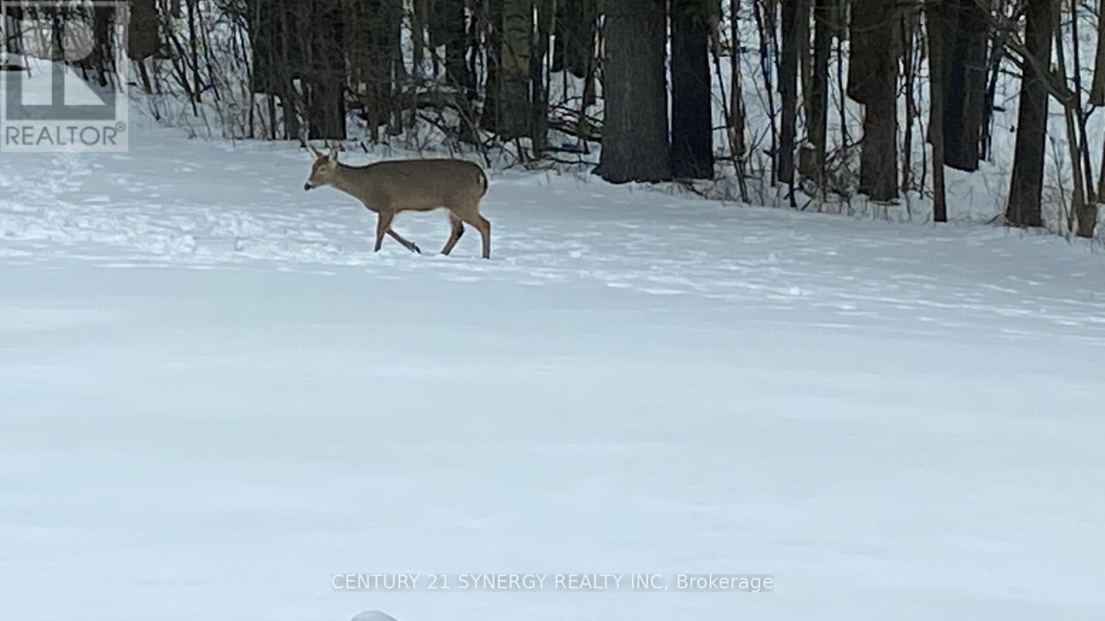 4621 Haggarts Side Road, Elizabethtown-Kitley, Ontario  K6T 1A5 - Photo 45 - X12864228