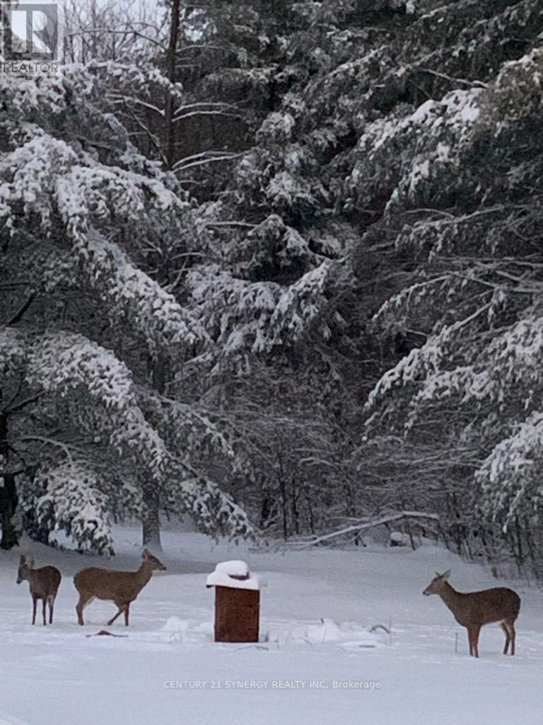 4621 Haggarts Side Road, Elizabethtown-Kitley, Ontario  K6T 1A5 - Photo 43 - X12864228