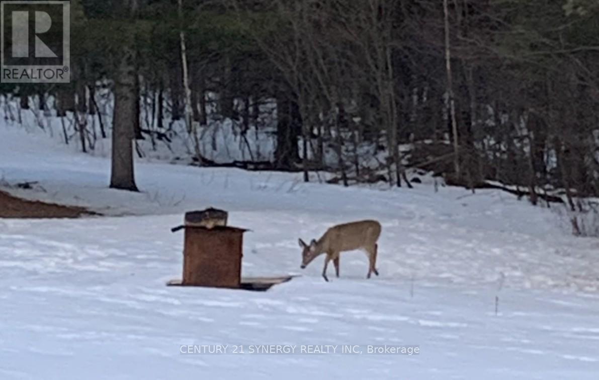 4621 Haggarts Side Road, Elizabethtown-Kitley, Ontario  K6T 1A5 - Photo 46 - X12864228