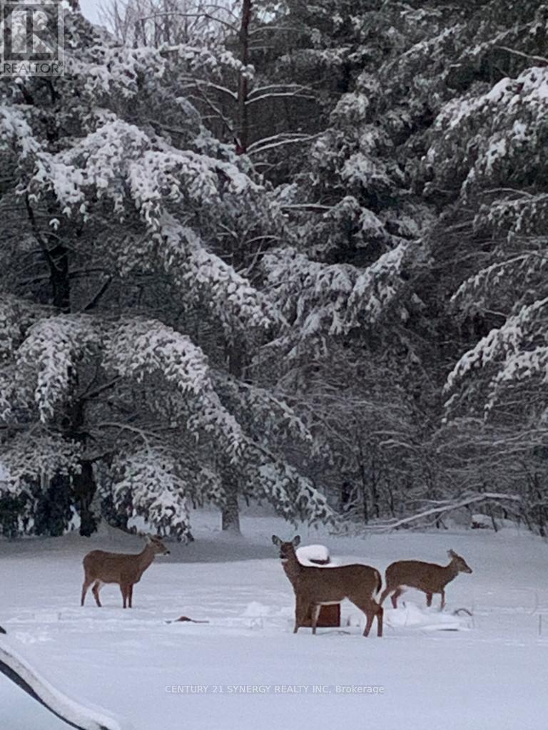 4621 Haggarts Side Road, Elizabethtown-Kitley, Ontario  K6T 1A5 - Photo 44 - X12864228