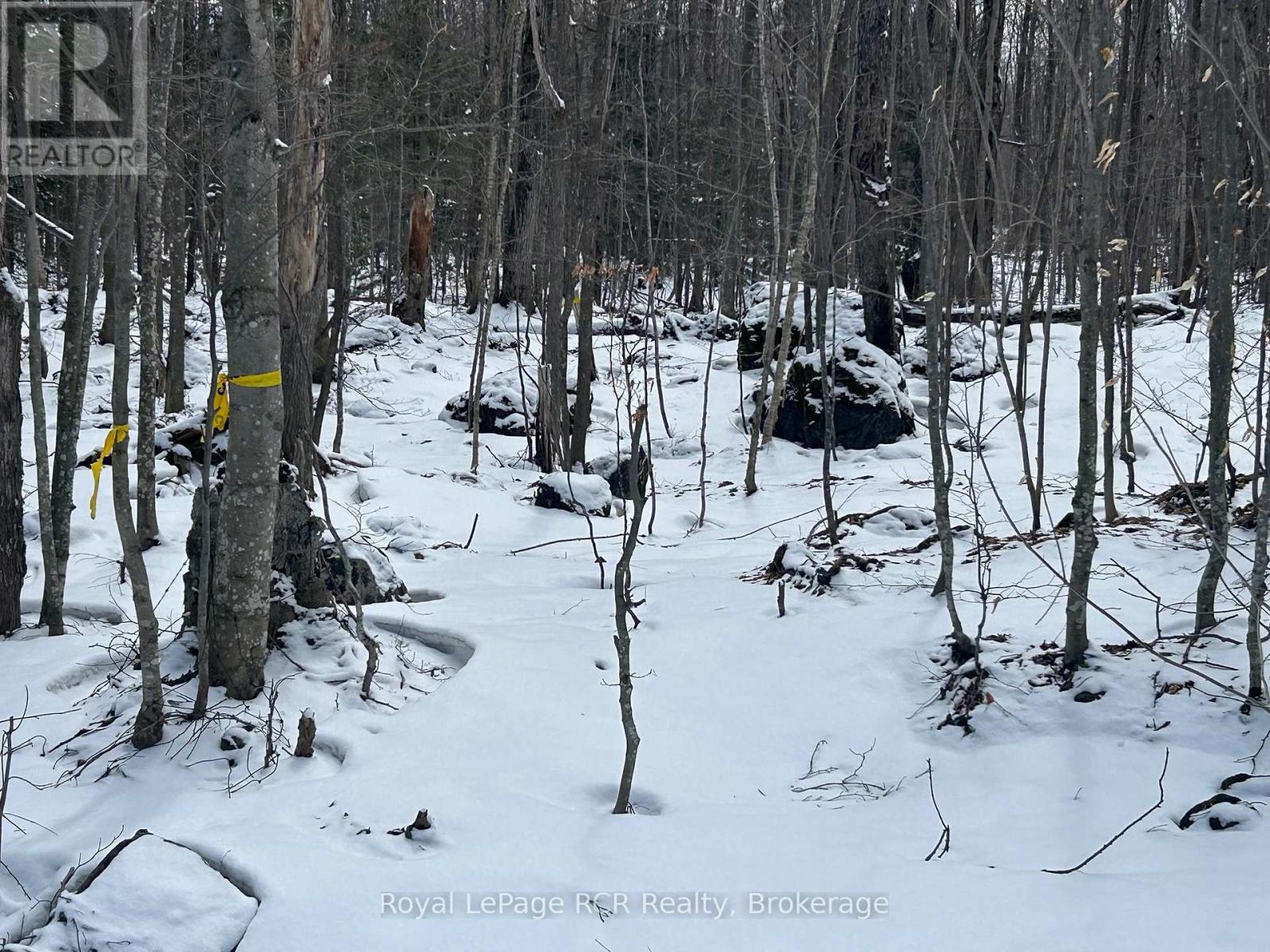 Part Lot 17 Grey Road 17 Road E, Georgian Bluffs, Ontario N0H 2T0 - Photo 13 - X12969296