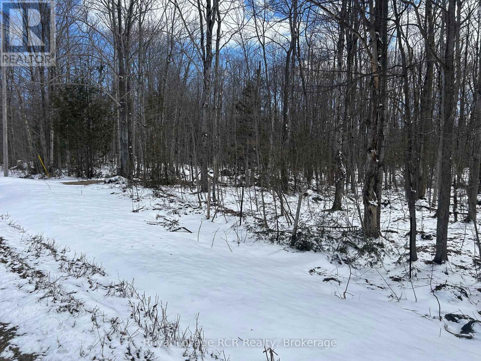Part Lot 17 Grey Road 17 Road E, Georgian Bluffs, Ontario N0H 2T0 - Photo 14 - X12969296
