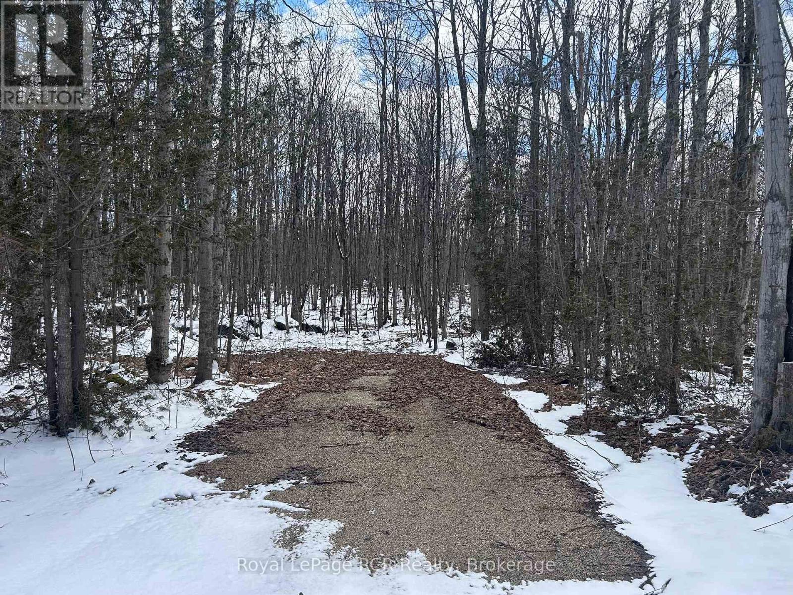 Part Lot 17 Grey Road 17 Road E, Georgian Bluffs, Ontario N0H 2T0 - Photo 4 - X12969296