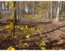 PART LOT 17 GREY ROAD 17 ROAD E, georgian bluffs, Ontario