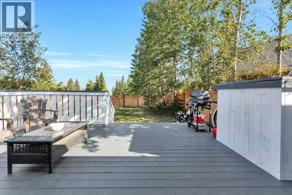 101 Lakeview Avenue, Gull Lake, Alberta  T4L 2N1 - Photo 26 - A2295847
