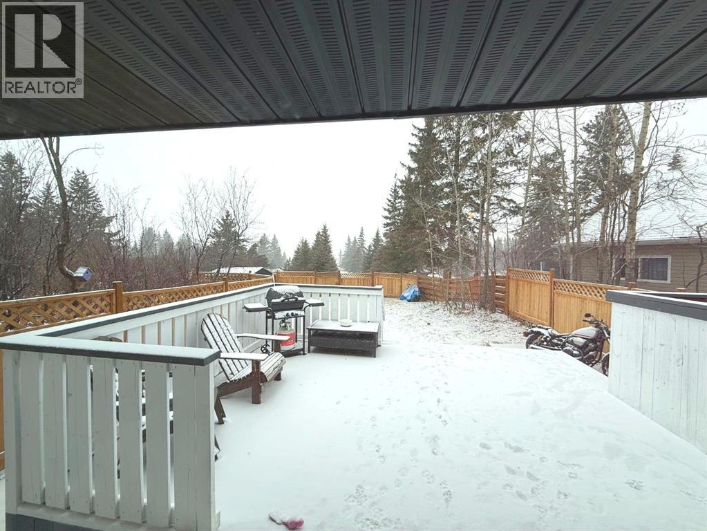 101 Lakeview Avenue, Gull Lake, Alberta  T4L 2N1 - Photo 46 - A2295847