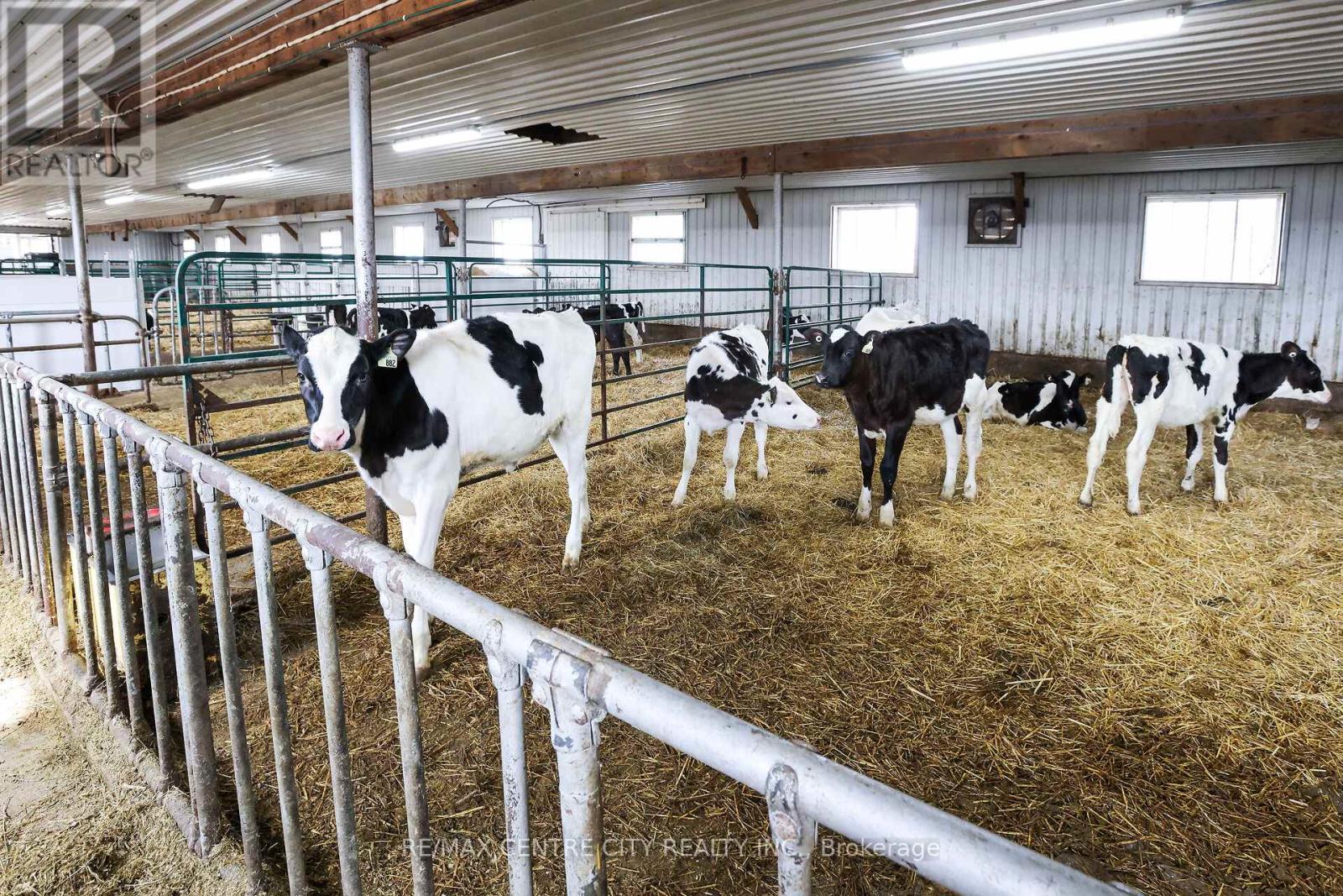 782533 Side Road 3, Chatsworth, Ontario  N0H 1G0 - Photo 10 - X12969340