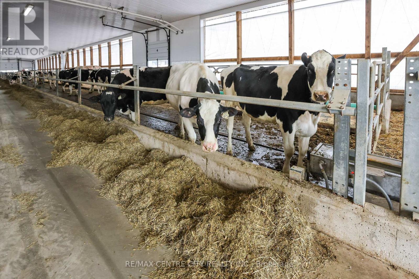 782533 Side Road 3, Chatsworth, Ontario  N0H 1G0 - Photo 13 - X12969340