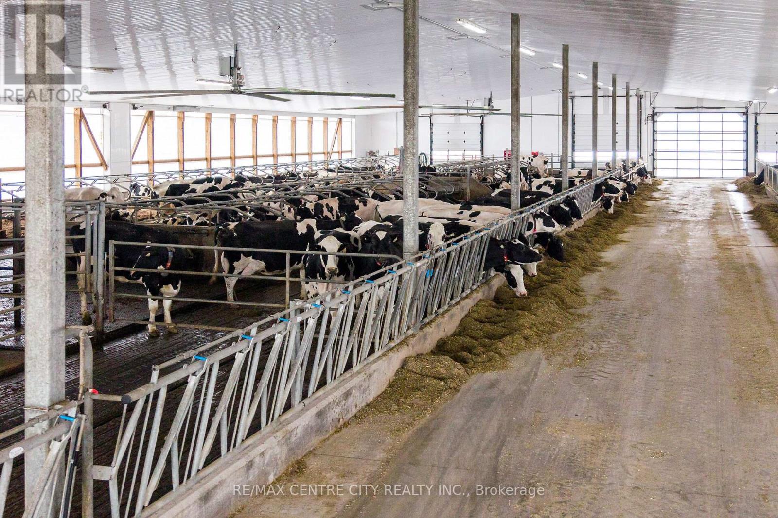 782533 Side Road 3, Chatsworth, Ontario  N0H 1G0 - Photo 8 - X12969340