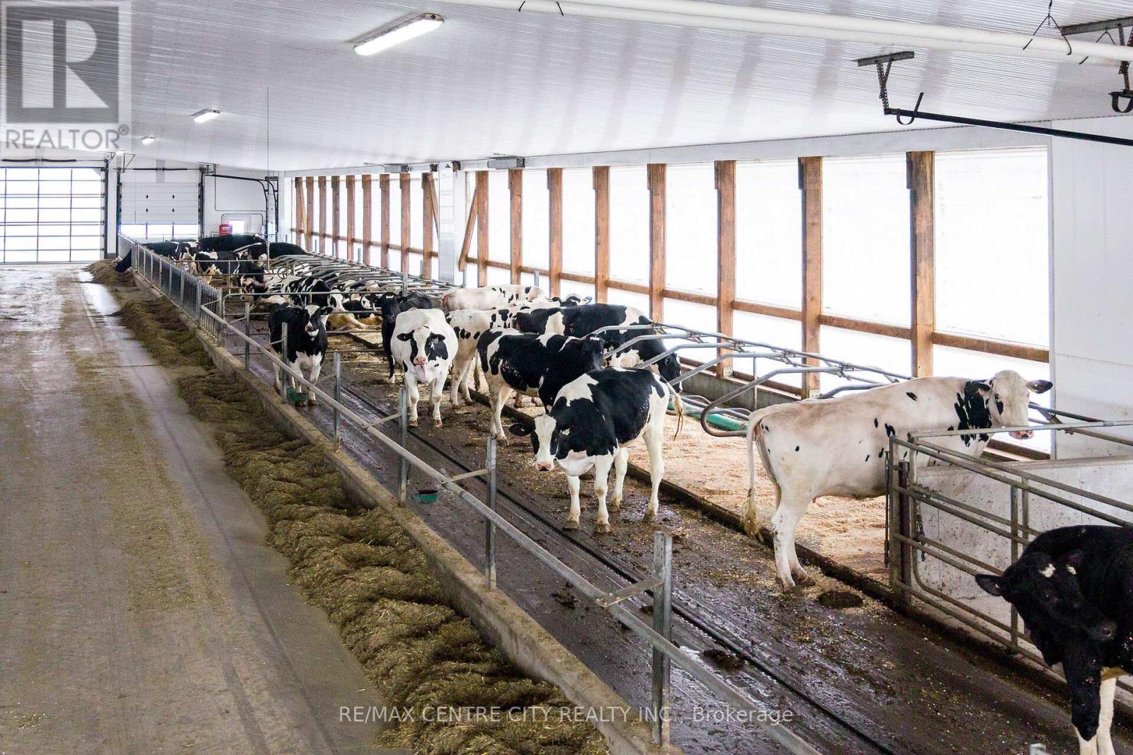 782533 Side Road 3, Chatsworth, Ontario  N0H 1G0 - Photo 9 - X12969340