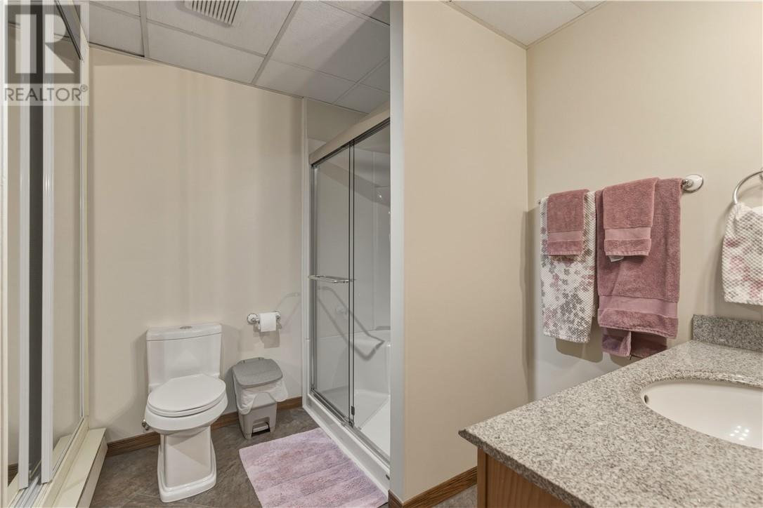 497 Shirley Street, Chelmsford, Ontario  P0M 1L0 - Photo 20 - 2127032