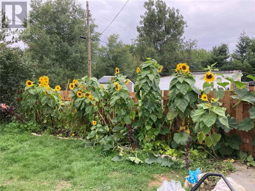 61 First Avenue N, Levack, Ontario  P0M 2C0 - Photo 23 - 2127009