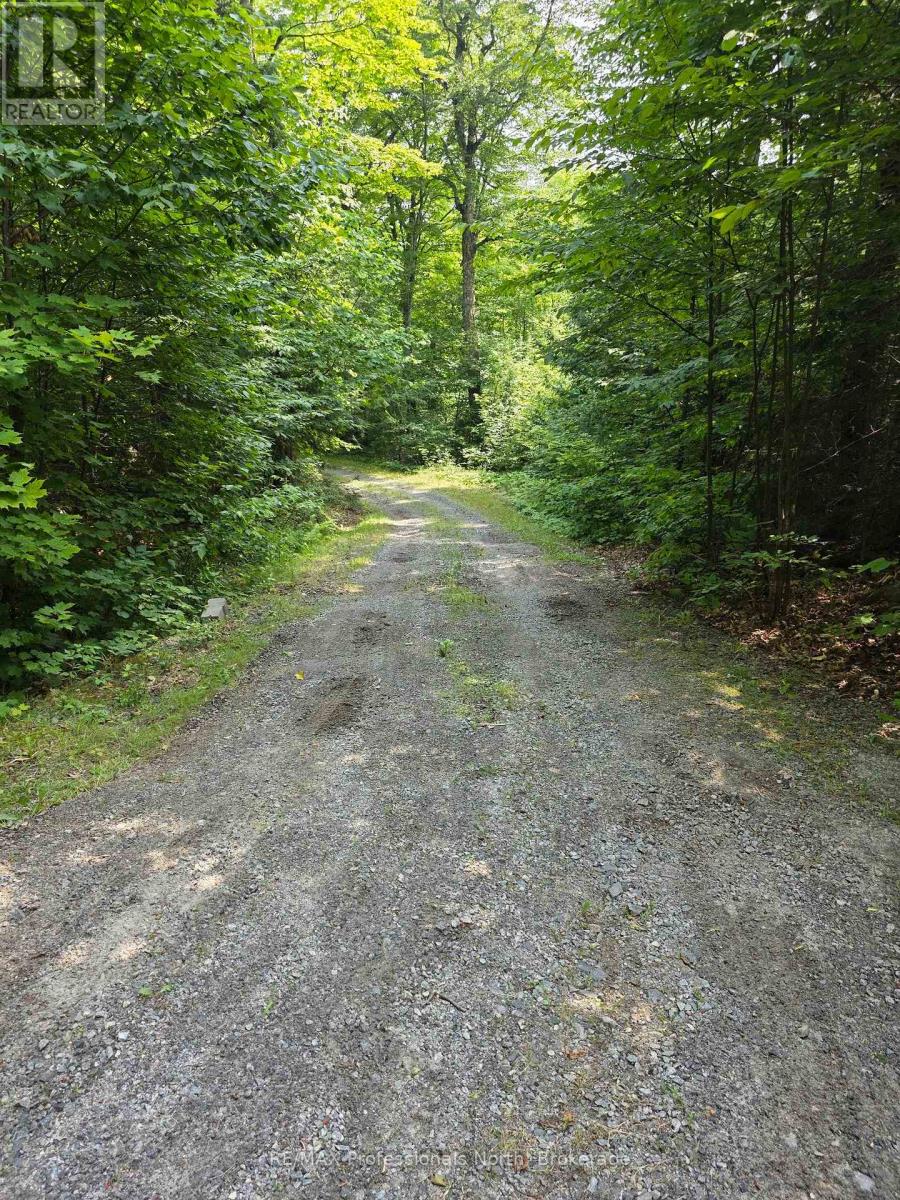 208 North Bay Lake Road, Perry, Ontario  P0A 1J0 - Photo 25 - X12969538