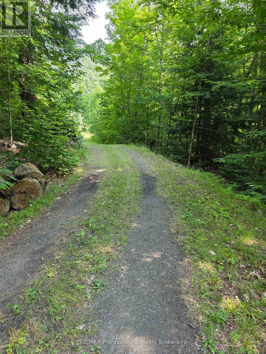 208 North Bay Lake Road, Perry, Ontario  P0A 1J0 - Photo 26 - X12969538