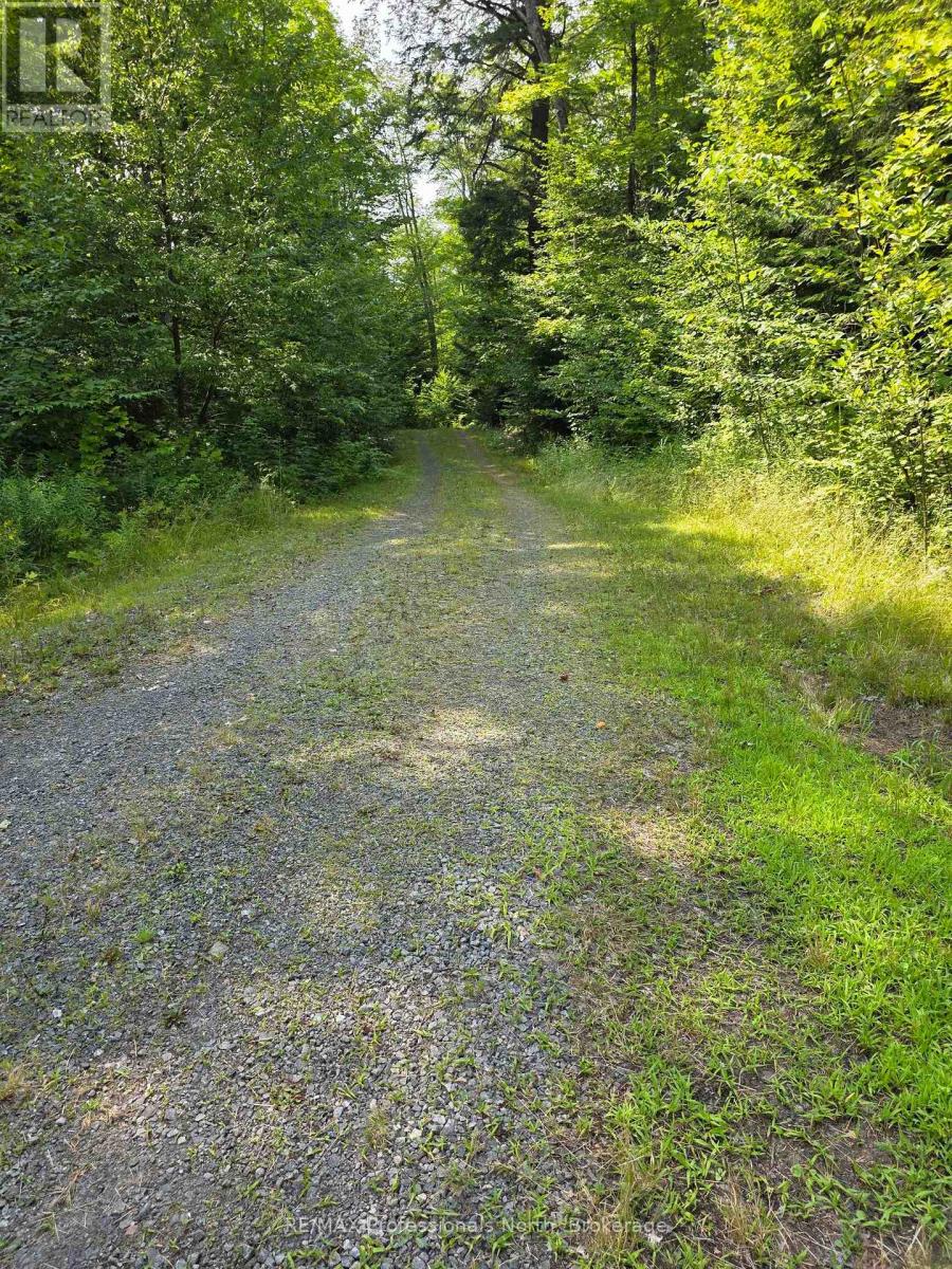 208 North Bay Lake Road, Perry, Ontario  P0A 1J0 - Photo 28 - X12969538