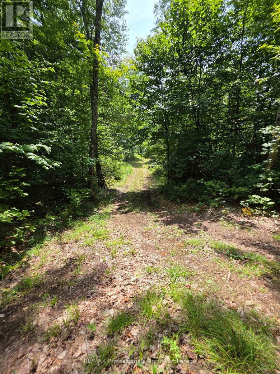 208 North Bay Lake Road, Perry, Ontario  P0A 1J0 - Photo 29 - X12969538