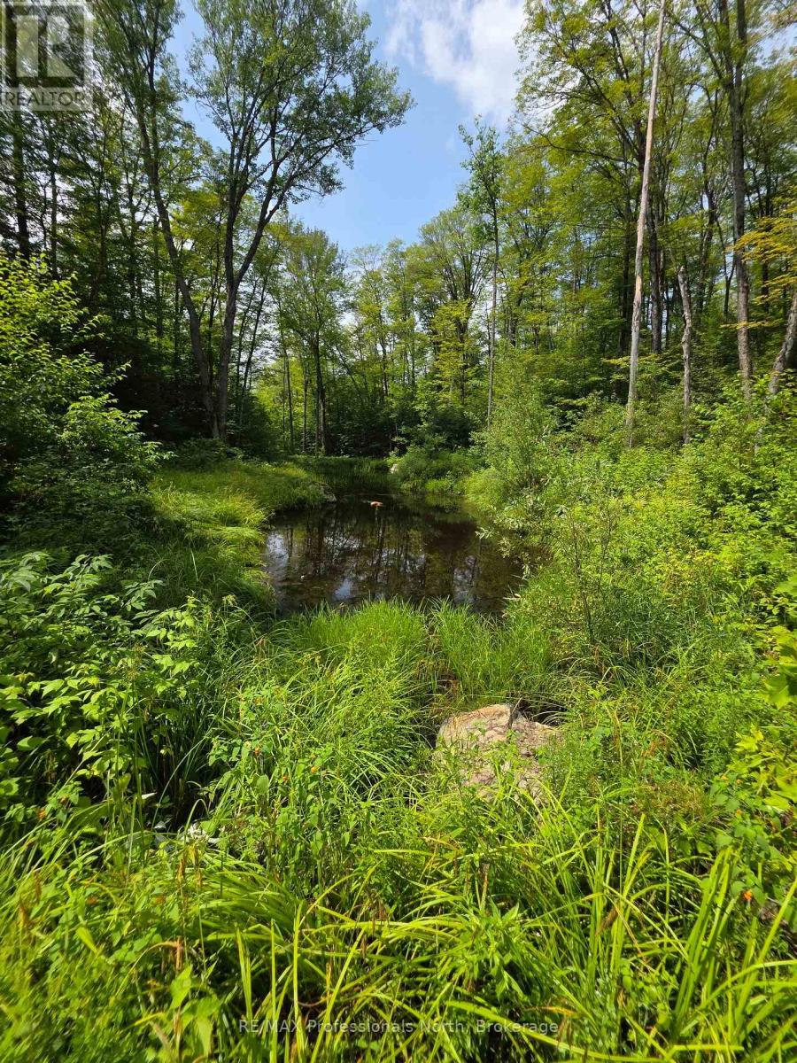 208 North Bay Lake Road, Perry, Ontario  P0A 1J0 - Photo 30 - X12969538