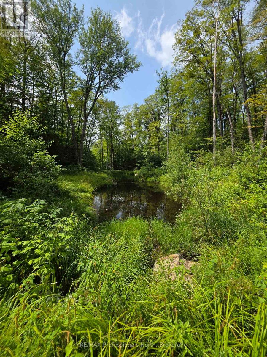 208 North Bay Lake Road, Perry, Ontario  P0A 1J0 - Photo 31 - X12969538