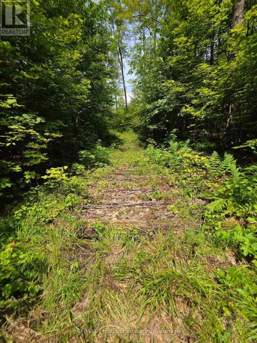 208 North Bay Lake Road, Perry, Ontario  P0A 1J0 - Photo 32 - X12969538