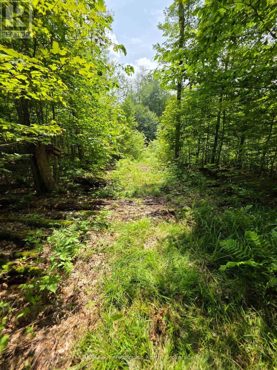 208 North Bay Lake Road, Perry, Ontario  P0A 1J0 - Photo 33 - X12969538