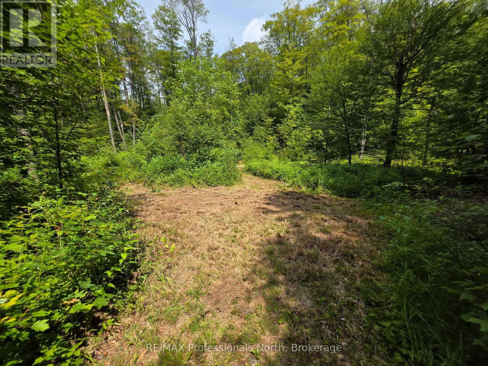 208 North Bay Lake Road, Perry, Ontario  P0A 1J0 - Photo 34 - X12969538