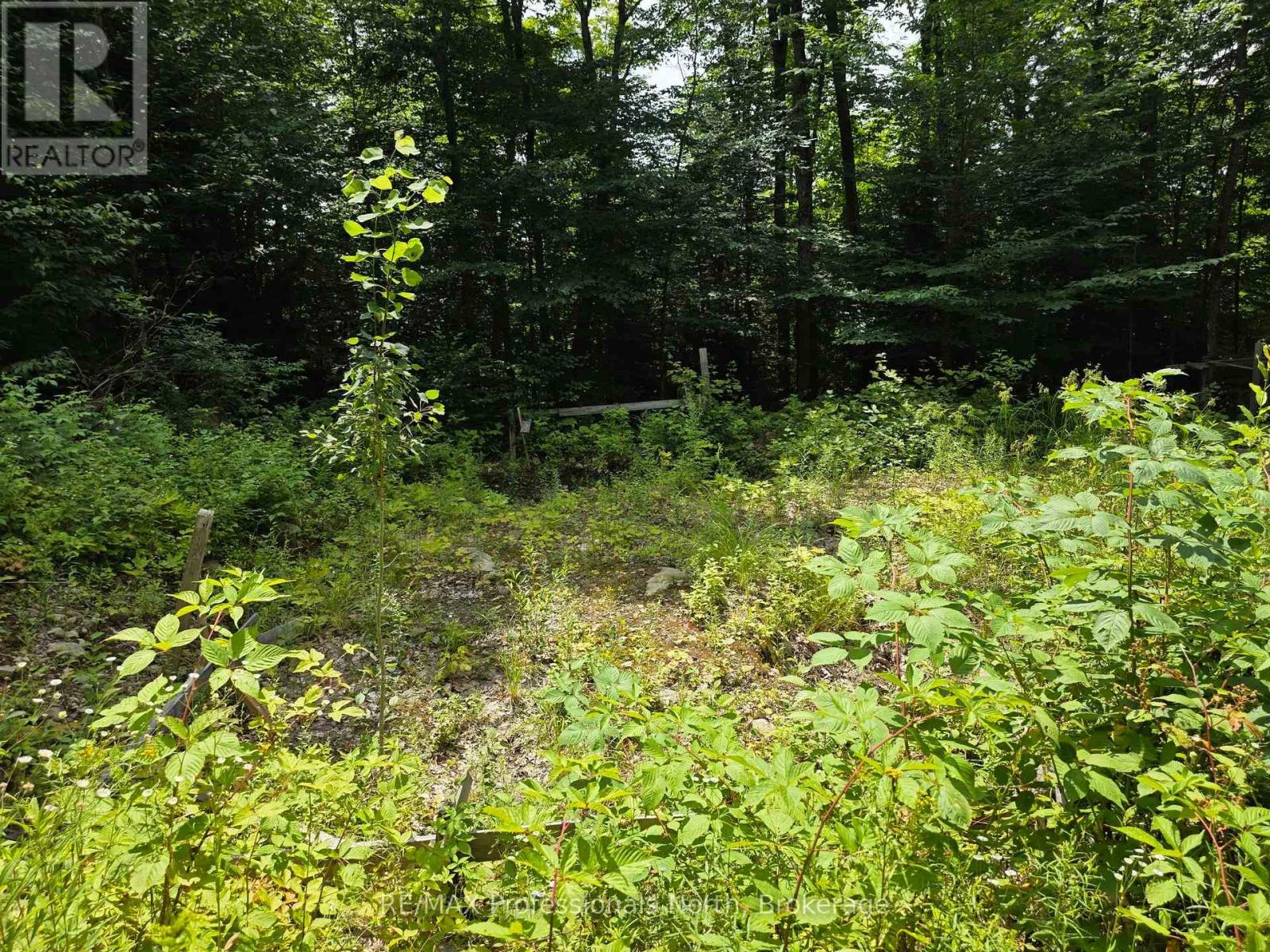 208 North Bay Lake Road, Perry, Ontario  P0A 1J0 - Photo 37 - X12969538