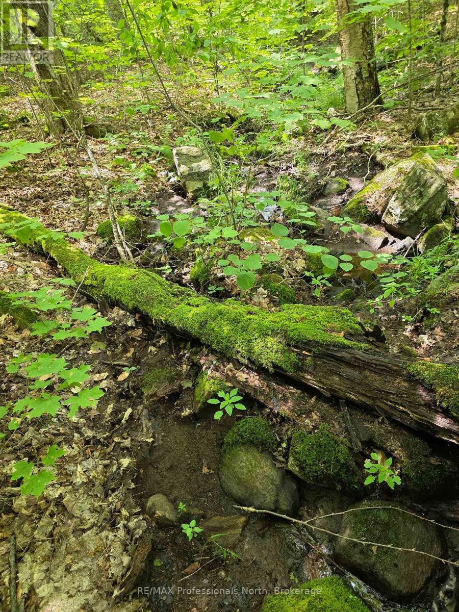 208 North Bay Lake Road, Perry, Ontario  P0A 1J0 - Photo 40 - X12969538