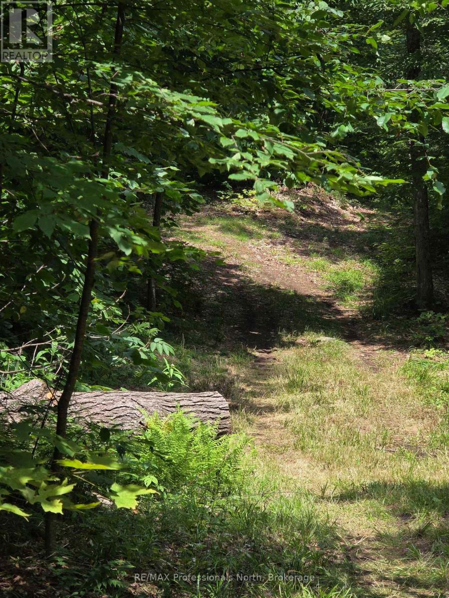 208 North Bay Lake Road, Perry, Ontario  P0A 1J0 - Photo 41 - X12969538