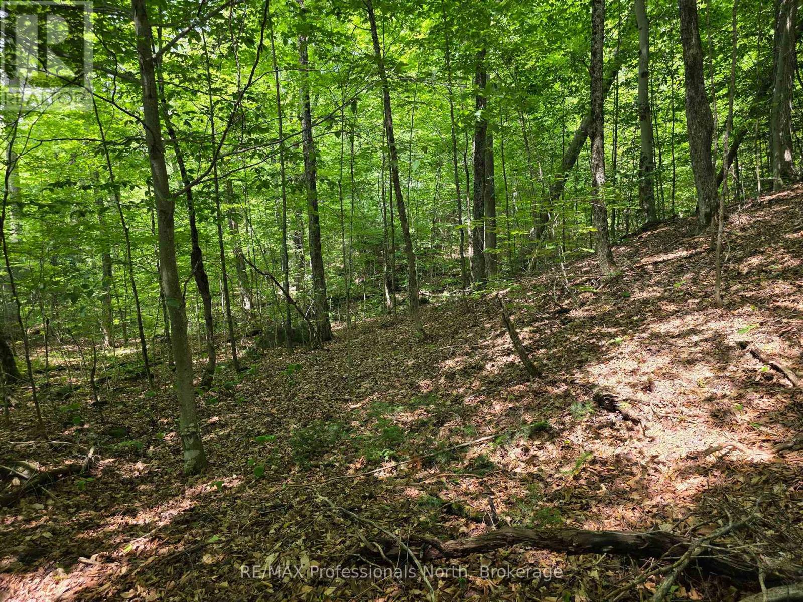 208 North Bay Lake Road, Perry, Ontario  P0A 1J0 - Photo 42 - X12969538