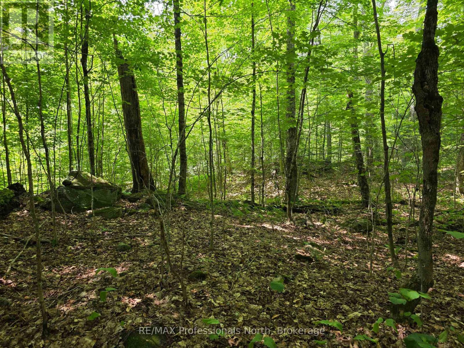 208 North Bay Lake Road, Perry, Ontario  P0A 1J0 - Photo 43 - X12969538