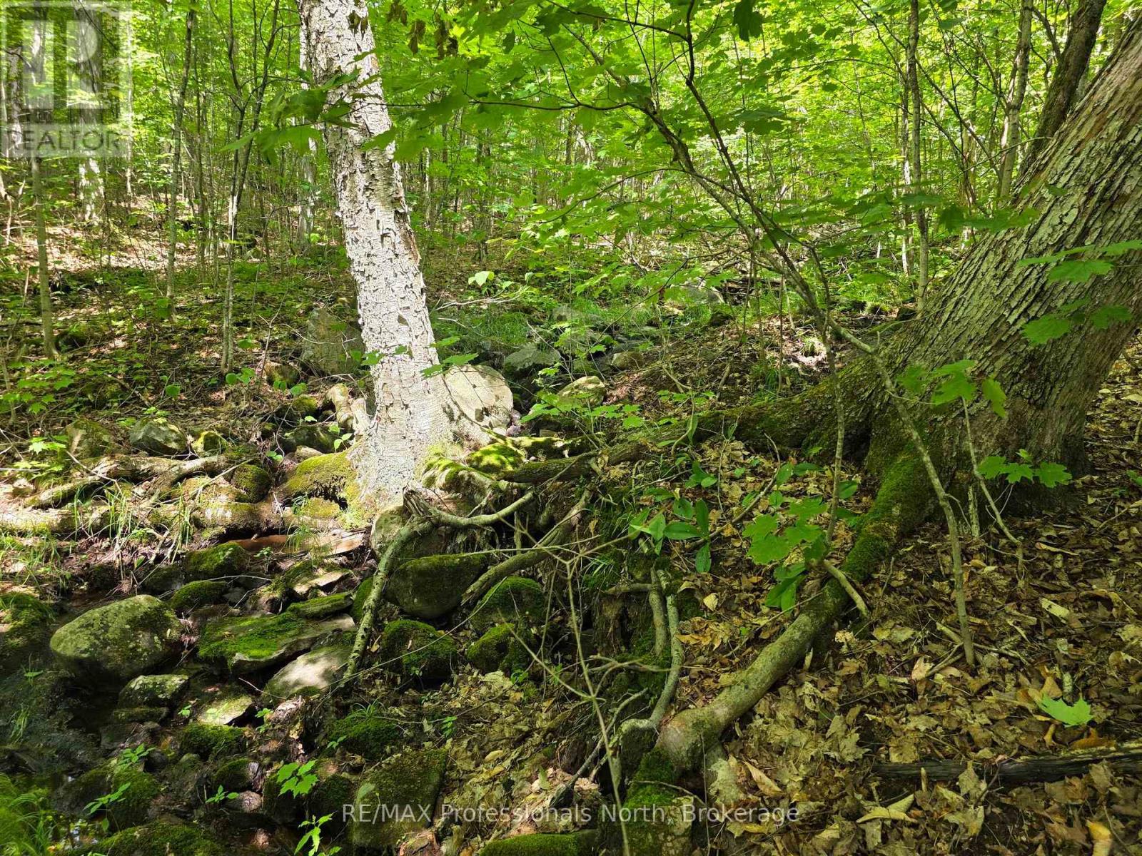 208 North Bay Lake Road, Perry, Ontario  P0A 1J0 - Photo 44 - X12969538