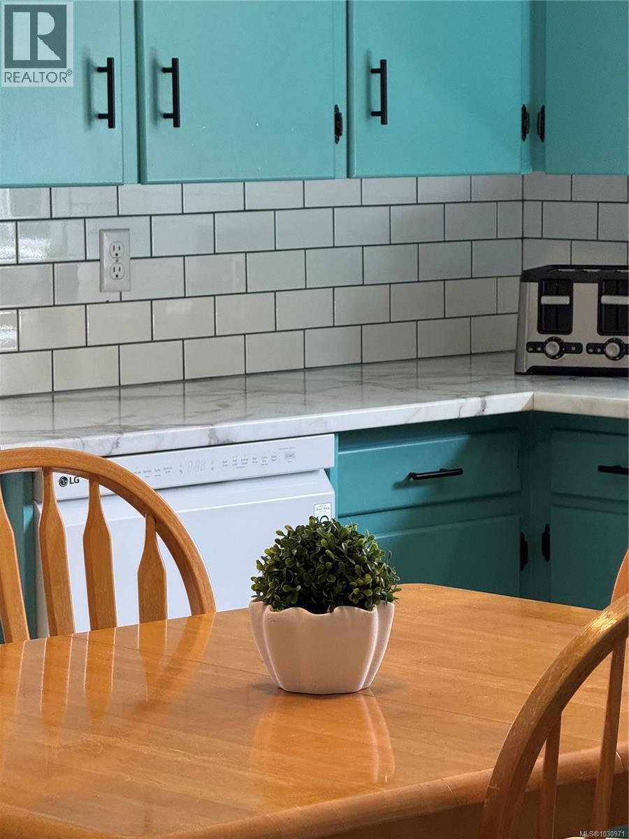 270 Beech Ave, Duncan, British Columbia  V9L 3J5 - Photo 5 - 1030971