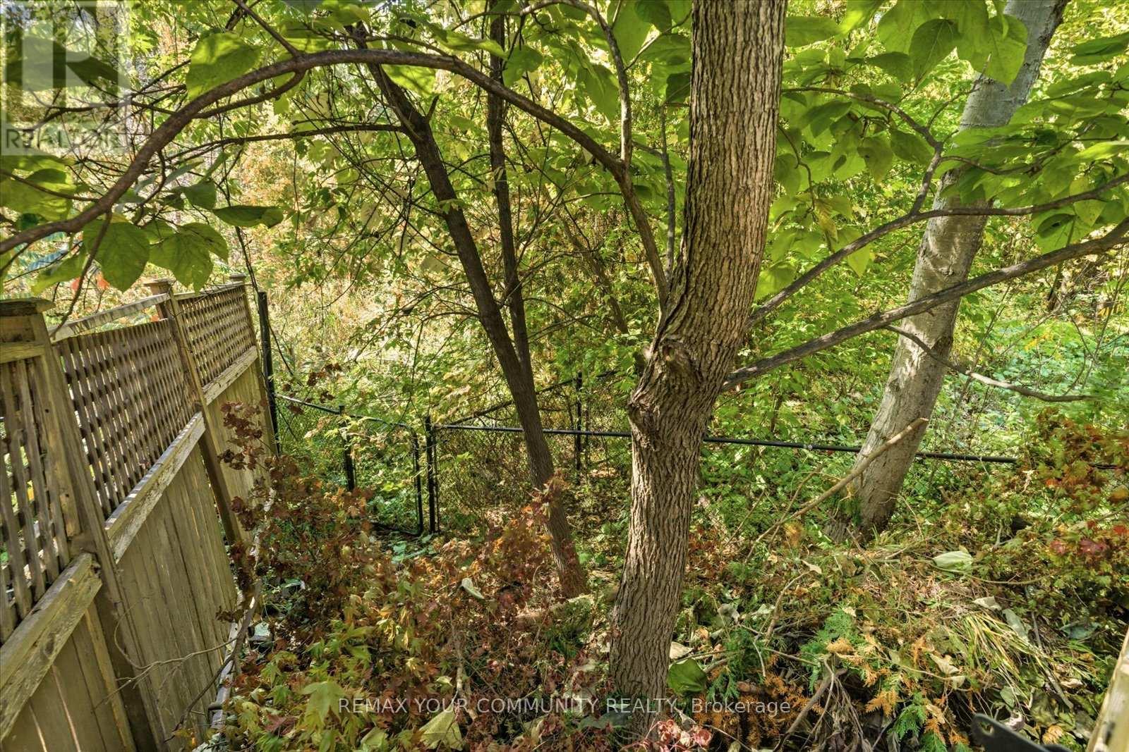 4 Marinucci Court, Richmond Hill, Ontario  L4C 0M3 - Photo 34 - N12969724