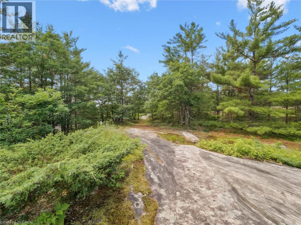 891 Peninsula Road, Gravenhurst, Ontario  P1P 0E2 - Photo 34 - 40818574