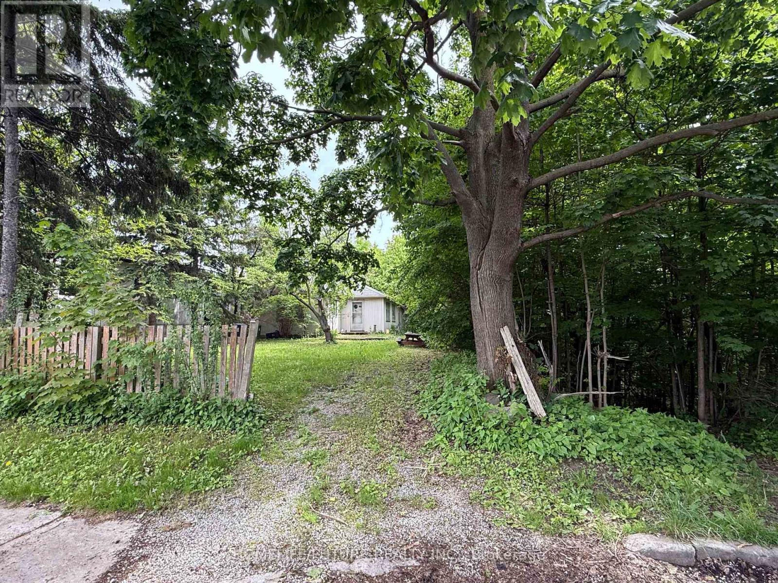 31 Maple Bush Avenue, Toronto, Ontario  M9N 1S7 - Photo 3 - W12969886