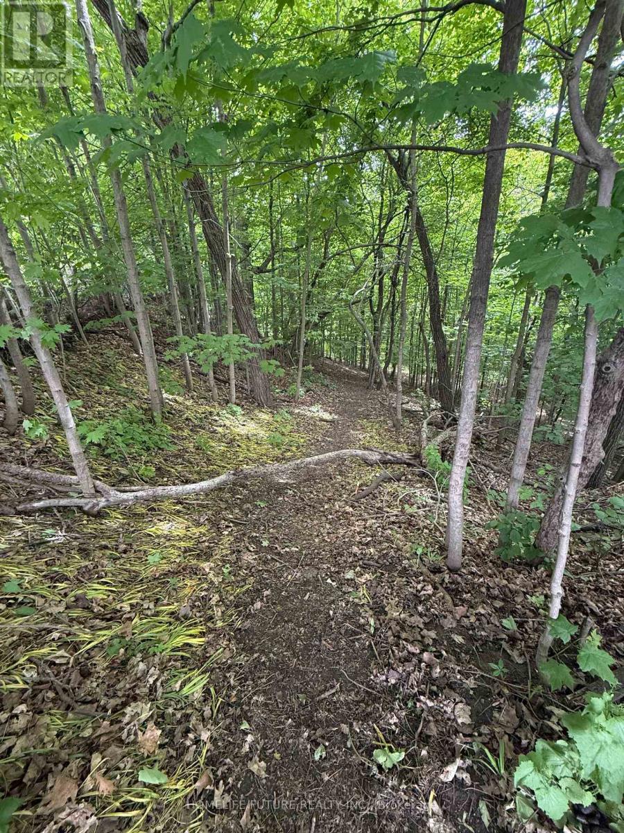 31 Maple Bush Avenue, Toronto, Ontario  M9N 1S7 - Photo 4 - W12969886