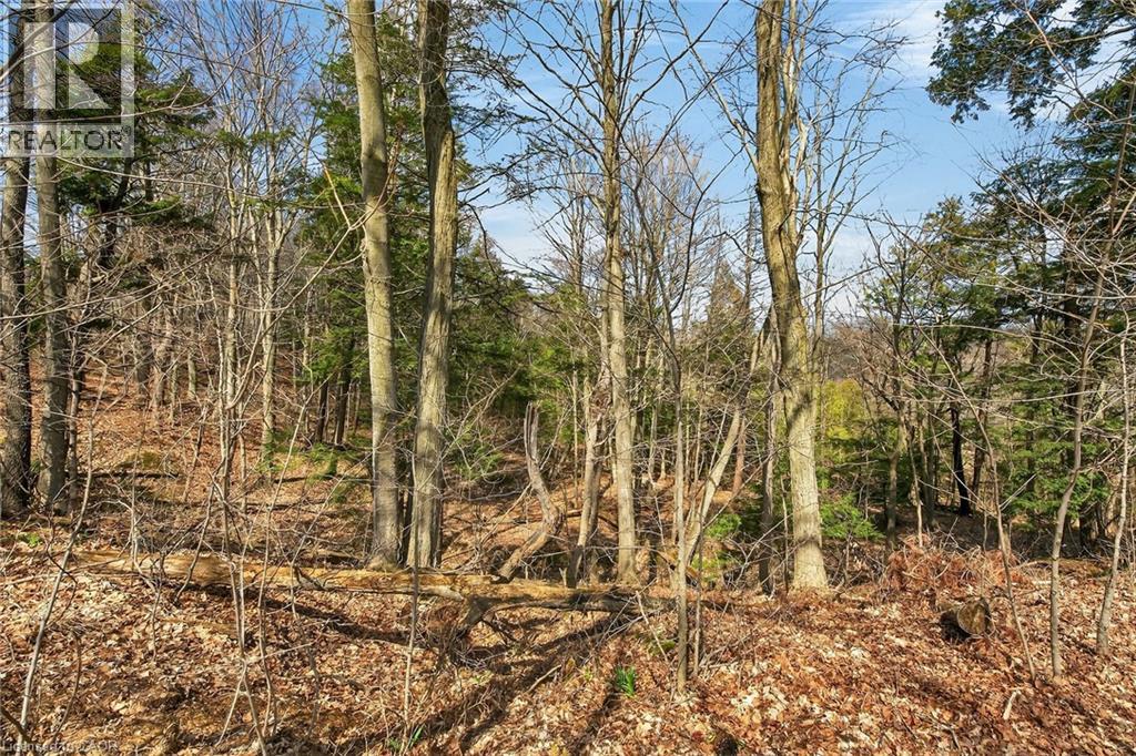 117 Willowdale Crescent, Port Dover, Ontario  N0A 1N5 - Photo 44 - 40816986